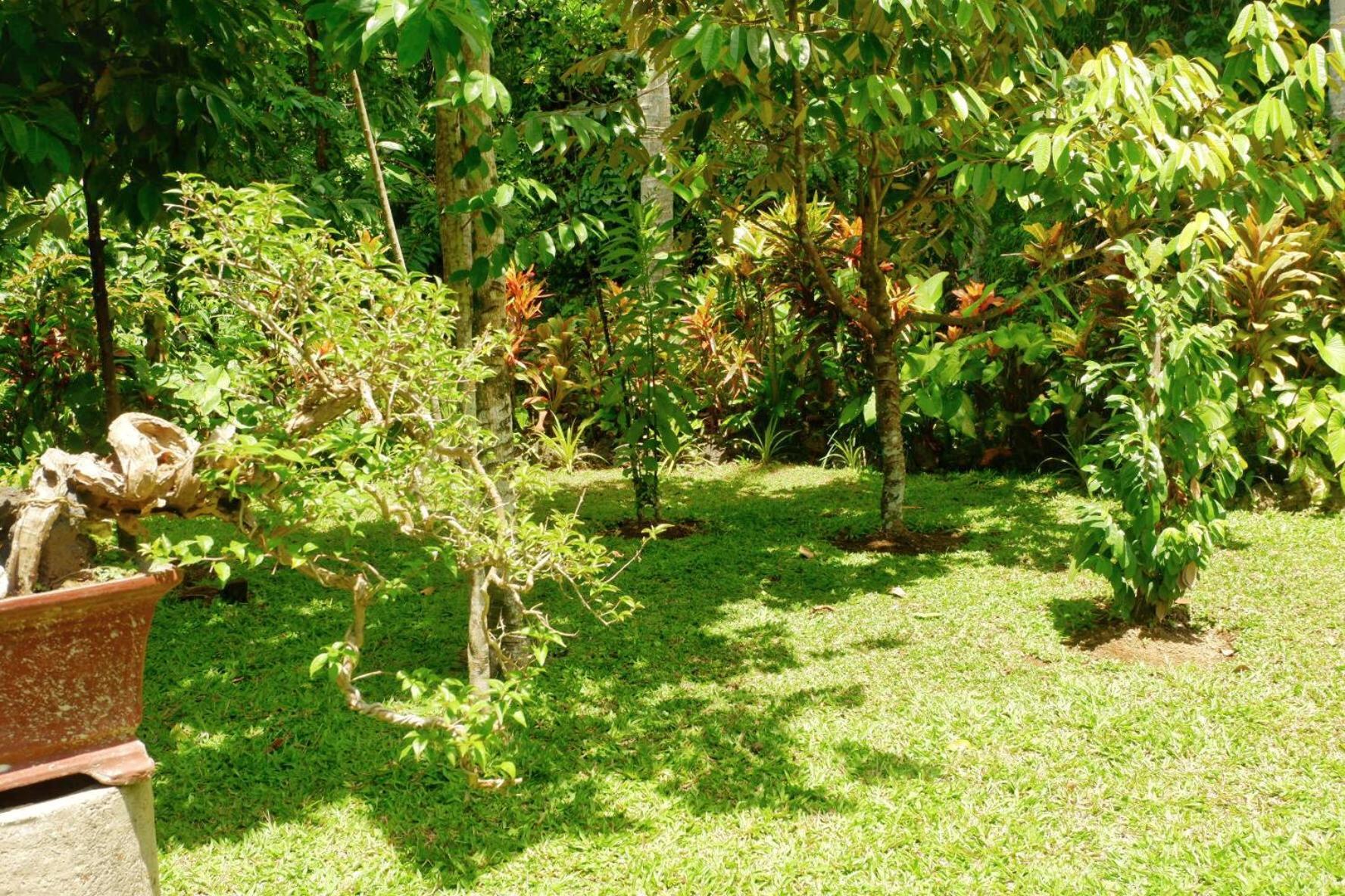 Artja Inn Ubud Exteriér fotografie